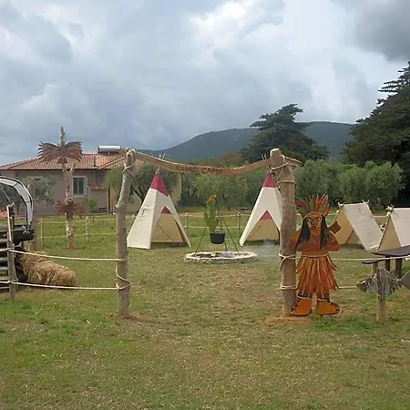 Il Mandorlo